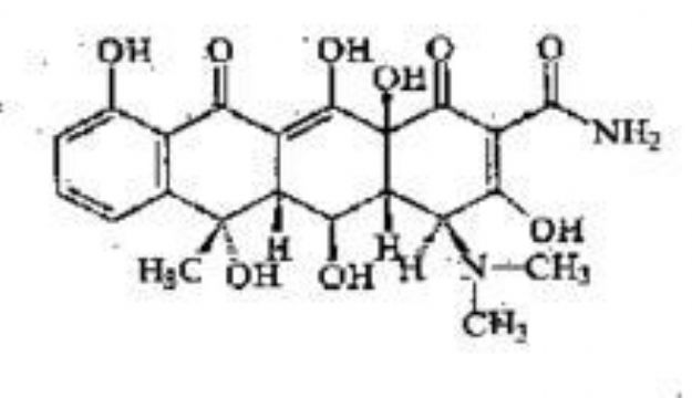 Oxytetracycline